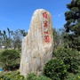 睢宁楼市ico