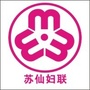 苏仙女声ico