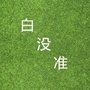 白没准说八卦ico
