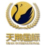 天鹅国际少儿艺术学院公众号ico