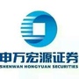 申万宏源证券眉山湖滨路ico