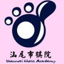 汕尾市棋院ico