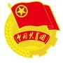沙湾团区委ico