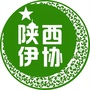 陕西伊协ico