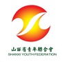 山西省青年联合会ico