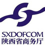 陕西商务ico