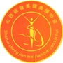 山西省健美健美操协会ico
