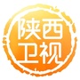 陕西卫视ico
