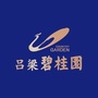 碧桂园在吕梁ico