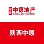 陕西中原ico