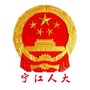 宁江人大ico