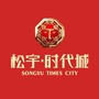 广西钦州松宇时代城ico