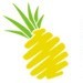 沈阳菠萝家政ico
