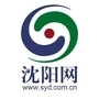 沈阳网ico