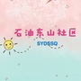 石油东山社区ico