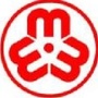 十堰美丽巾帼ico