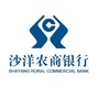 湖北沙洋农商银行ico