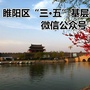 睢阳三五基层ico