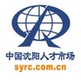 沈阳人才市场ico