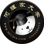 河狸家大学ico