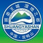双鸭山发布ico