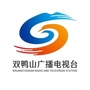 双鸭山广播电视台ico