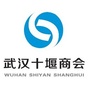 武汉十堰商会ico