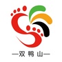双鸭山旅游在线ico