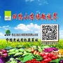 双鸭山农场微视界ico