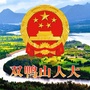 双鸭山人大公众号ico