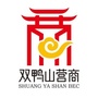 双营通公众号ico