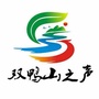 双鸭山之声ico