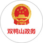 双鸭山政务ico