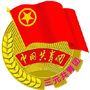 三元团区委ico