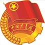 武侯沙堰社区青年ico