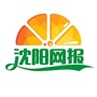 沈阳网报ico