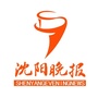 沈阳晚报ico