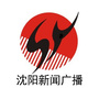 沈阳新闻广播ico