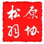 松原市网球羽毛球协会公众号ico