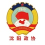 沈阳政协ico