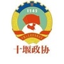 十堰政协ico