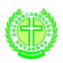 深圳市基督教两会ico