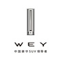 深圳大兴WEYico