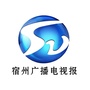 宿州广播电视报社ico