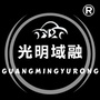 光明域融ico