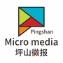 坪山微报公众号ico