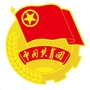 内江市中区共青团ico
