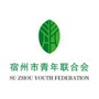 宿州青联ico