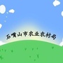 石嘴山市农业农村局ico