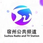 宿州广播电视台公共频道公众号ico